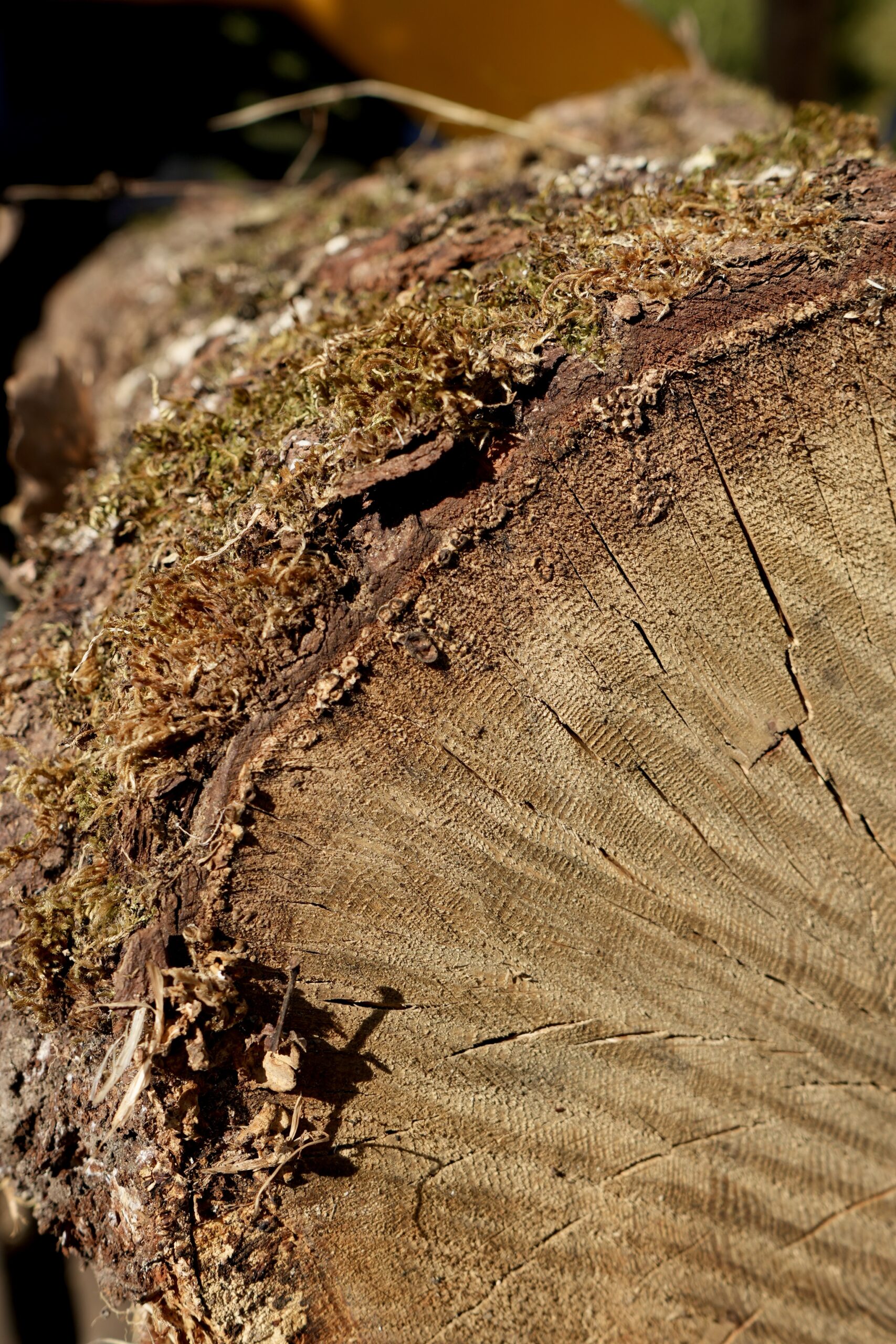 VMV Bois – Stock, dépôt et site web
